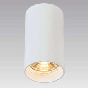 Downlight LAMPA sufitowa TUBA 92679 Zumaline metalowa OPRAWA tuba biała - biały