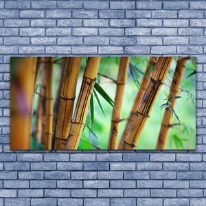 Obraz na Szkle Bambus Natura Roślina