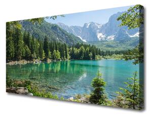 Obraz Canvas Góry Jezioro Las Przyroda