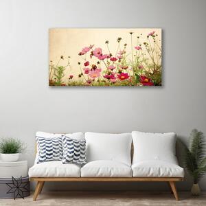 Obraz Canvas Kwiaty Roślina Natura