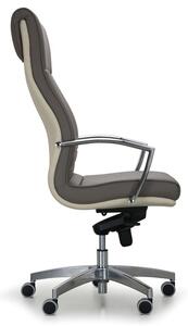 Fotel biurowy TWIN, brązowy