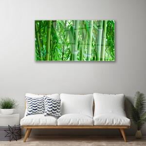 Obraz na Szkle Bambus Łodyga Roślina