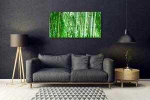 Obraz na Szkle Bambus Łodyga Roślina