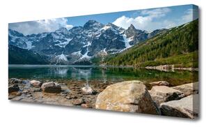 Obraz Canvas Góry Las Jezioro Tatry