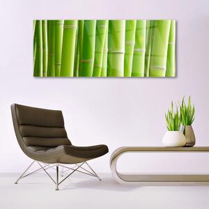 Obraz na Szkle Bambus Łodyga Kwiat Roślina
