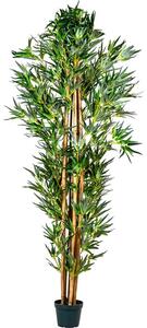 Drzewko sztuczne dekoracyjne - Bambus 220 cm