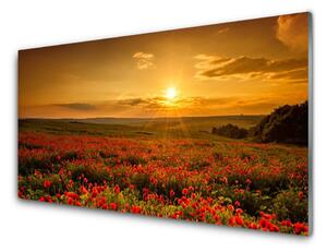 Obraz Szklany Pole Maki Zachód Słońca Łąka