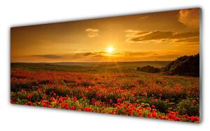 Obraz Szklany Pole Maki Zachód Słońca Łąka