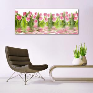 Obraz Szklany Tulipany Roślina Natura