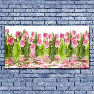 Obraz Canvas Tulipany Roślina Natura