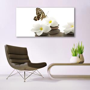 Obraz Canvas Motyl Kwiat Kamienie Roślina