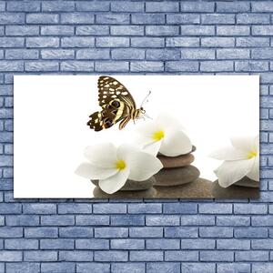 Obraz Canvas Motyl Kwiat Kamienie Roślina