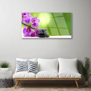 Obraz Szklany Storczyki Zielony Kwiaty