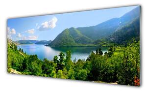 Obraz na Szkle Las Jezioro Góry Krajobraz