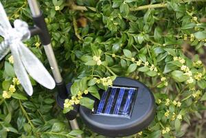 Lampa solarna ogrodowa LED motyl, koliber, ważka