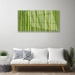 Obraz Szklany Bambus Roślina Przyroda