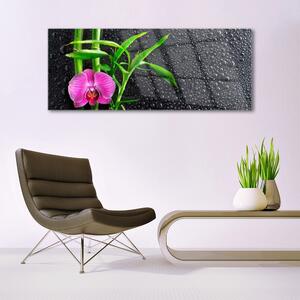 Obraz Szklany Bambus Kwiat Krople
