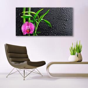 Obraz Canvas Bambus Kwiat Krople