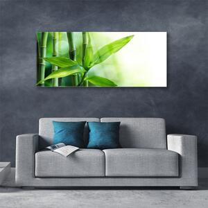 Obraz Szklany Bambus Liść Roślina Przyroda