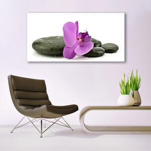 Obraz Szklany Kwiat Orchidea Storczyk