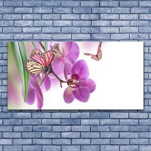 Obraz Canvas Motyle Kwiaty Przyroda