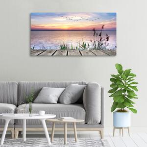 Obraz Akrylowy Morze Patki Niebo Krajobraz