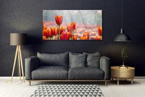 Obraz Szklany Tulipany Kwiaty Roślina