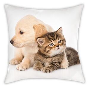 Mała poduszka Animals Dog and Cat, 40 x 40 cm