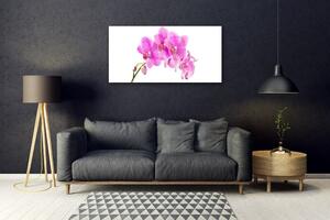 Obraz Szklany Storczyk Kwiat Orchidea