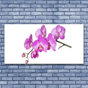 Obraz Szklany Storczyk Orchidea Kwiaty