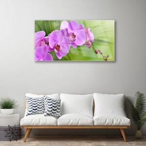 Obraz Szklany Storczyk Orchidea Kwiaty