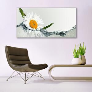 Obraz Canvas Stokrotka w wodzie Roślina