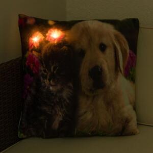 Poduszka dekoracyjna z oświetleniem LED Kot i pies - 38x38cm