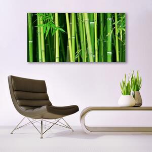 Obraz Canvas Las Bambusowy Bambus Natura