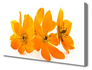 Obraz na Płótnie Pomarańczowe Roślina Kwiaty