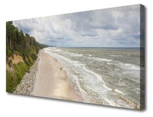 Obraz na Płótnie Plaża Morze Drzewo Natura