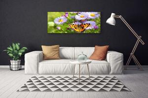 Obraz na Płótnie Kwiaty Motyl Roślina Natura