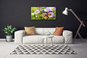 Obraz na Płótnie Kwiaty Motyl Roślina Natura