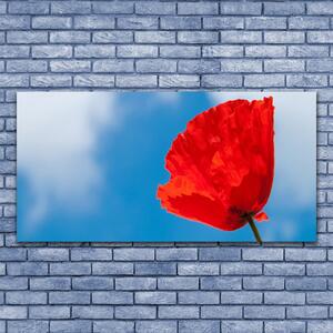 Obraz na Płótnie Tulipan Na Ścianę