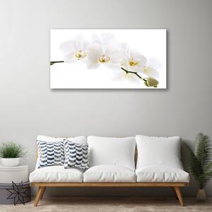 Obraz na Płótnie Kwiaty Orchidea