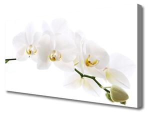Obraz na Płótnie Kwiaty Orchidea