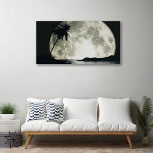 Obraz na Płótnie Noc Księżyc Palma Krajobraz