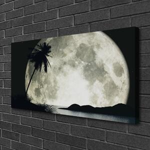 Obraz na Płótnie Noc Księżyc Palma Krajobraz