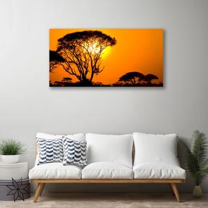 Obraz na Płótnie Drzewa Słońce Natura