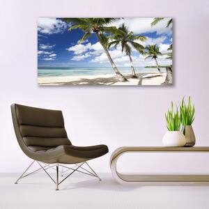 Obraz na Szkle Morze Plaża Palma Krajobraz