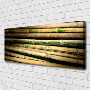 Obraz na Płótnie Bambus Roślina Natura