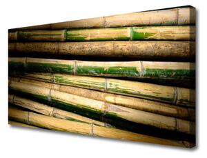 Obraz na Płótnie Bambus Roślina Natura