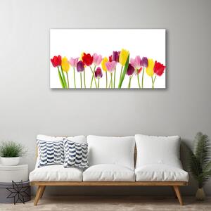 Obraz na Płótnie Tulipany Kwiaty Roślina