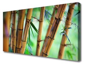 Obraz na Płótnie Bambus Natura Roślina