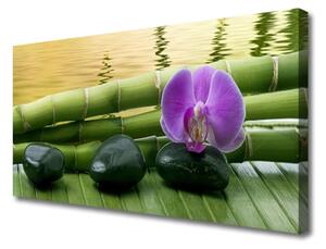 Obraz na Płótnie Kwiat Kamienie Bambus Natura